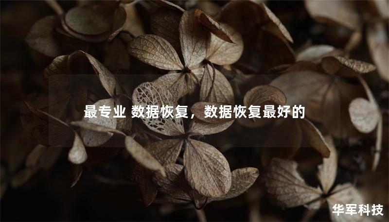 最專業(yè) 數(shù)據(jù)恢復(fù)，數(shù)據(jù)恢復(fù)最好的