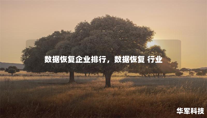 數據恢復企業排行，數據恢復 行業