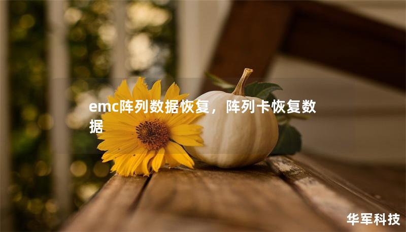 emc陣列數據恢復，陣列卡恢復數據