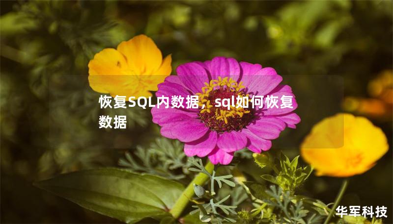 恢復SQL內(nèi)數(shù)據(jù)，sql如何恢復數(shù)據(jù)