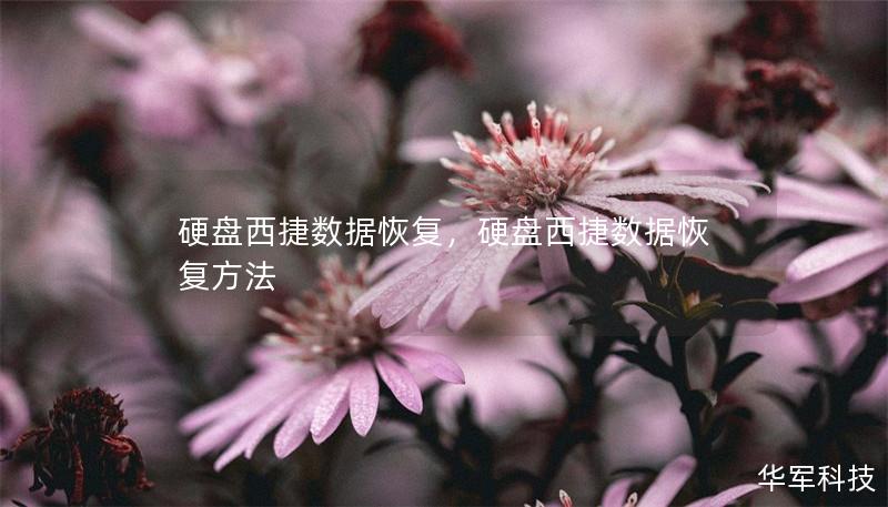 硬盤西捷數(shù)據(jù)恢復，硬盤西捷數(shù)據(jù)恢復方法