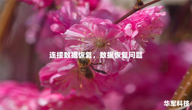 連接數(shù)據(jù)恢復(fù)，數(shù)據(jù)恢復(fù)問(wèn)題