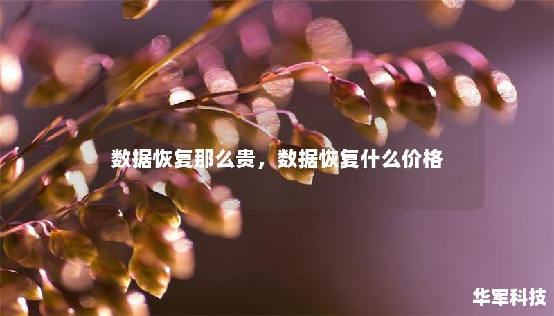 數(shù)據(jù)恢復(fù)那么貴，數(shù)據(jù)恢復(fù)什么價(jià)格