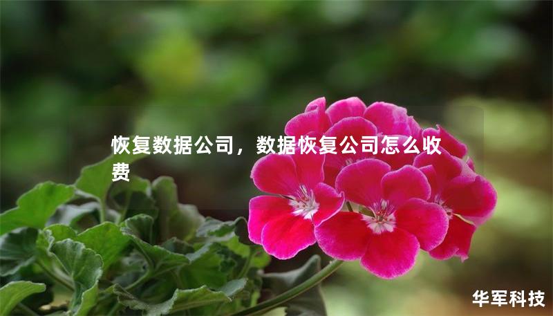 恢復數據公司，數據恢復公司怎么收費