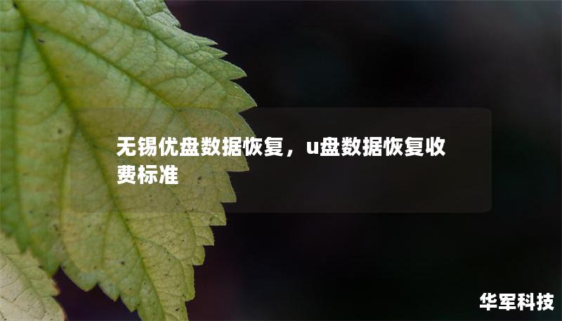無(wú)錫優(yōu)盤(pán)數(shù)據(jù)恢復(fù)，u盤(pán)數(shù)據(jù)恢復(fù)收費(fèi)標(biāo)準(zhǔn)