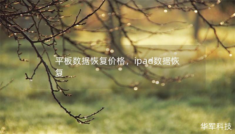 平板數據恢復價格，ipad數據恢復