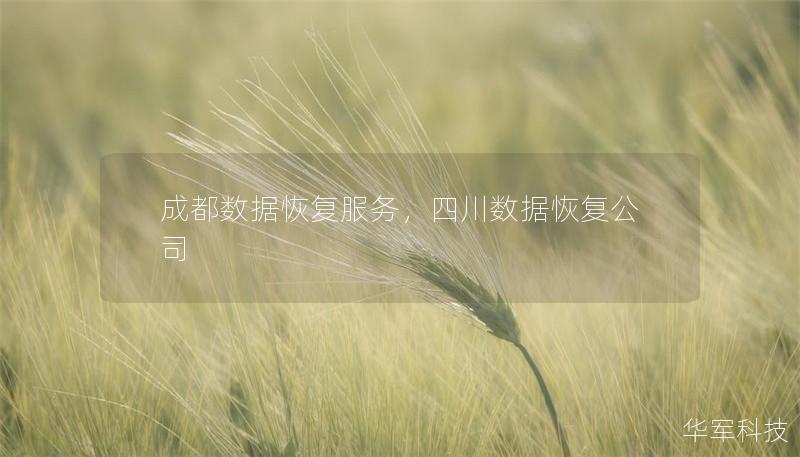 成都數據恢復服務，四川數據恢復公司