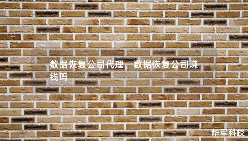 數據恢復公司代理，數據恢復公司賺錢嗎