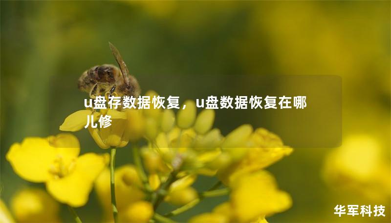 u盤存數(shù)據(jù)恢復(fù)，u盤數(shù)據(jù)恢復(fù)在哪兒修