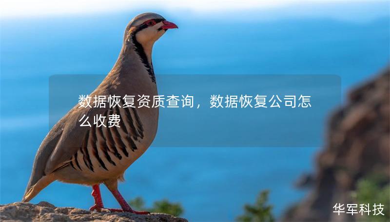 數(shù)據(jù)恢復(fù)資質(zhì)查詢，數(shù)據(jù)恢復(fù)公司怎么收費