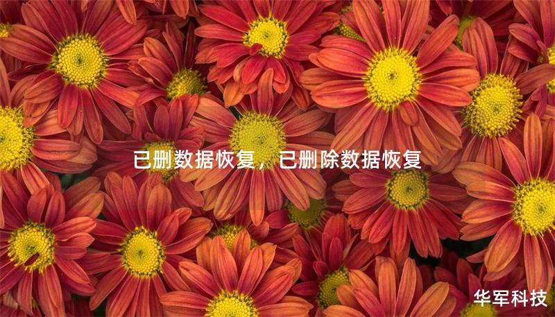 已刪數據恢復，已刪除數據恢復