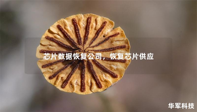 芯片數據恢復公司，恢復芯片供應