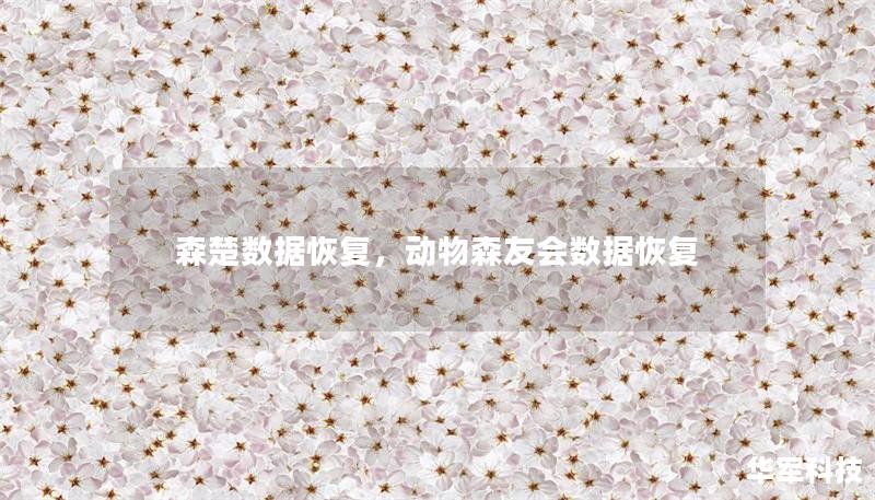 森楚數(shù)據(jù)恢復，動物森友會數(shù)據(jù)恢復