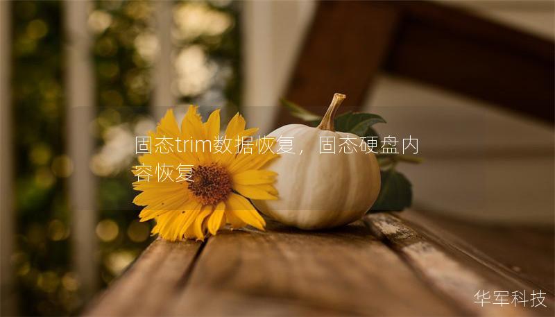 固態(tài)trim數(shù)據(jù)恢復(fù)，固態(tài)硬盤內(nèi)容恢復(fù)