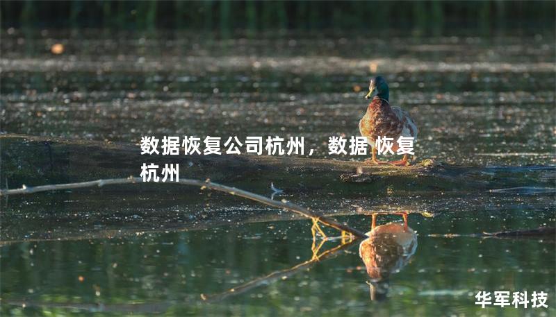 數據恢復公司杭州，數據 恢復 杭州