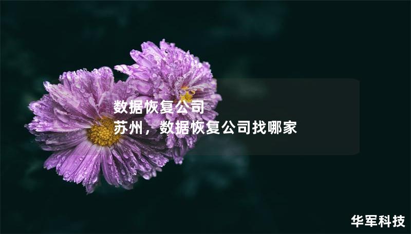 數據恢復公司 蘇州，數據恢復公司找哪家