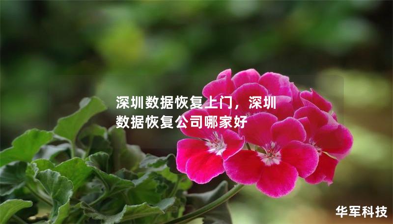 深圳數(shù)據(jù)恢復(fù)上門，深圳 數(shù)據(jù)恢復(fù)公司哪家好