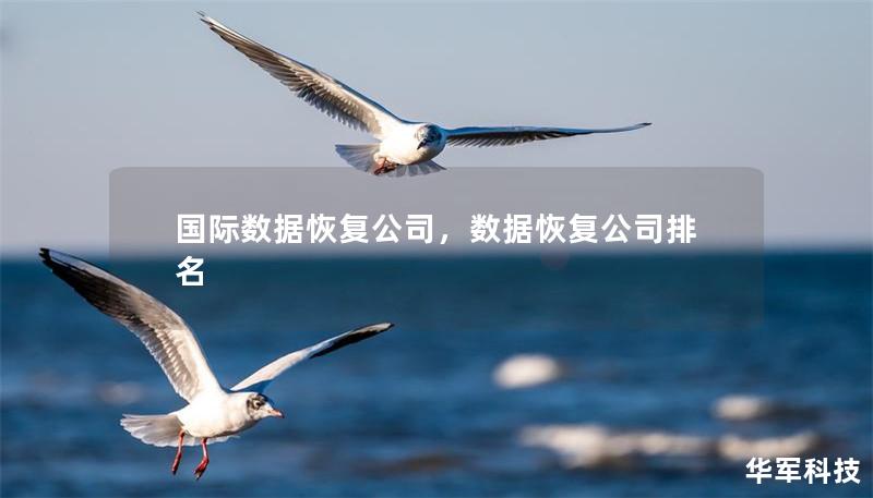 國際數據恢復公司，數據恢復公司排名