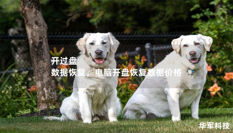 開過盤 數據恢復，電腦開盤恢復數據價格