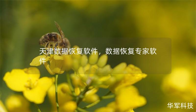 天津數據恢復軟件，數據恢復專家軟件