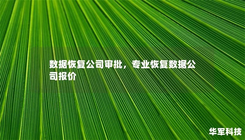 數(shù)據(jù)恢復(fù)公司審批，專業(yè)恢復(fù)數(shù)據(jù)公司報(bào)價(jià)