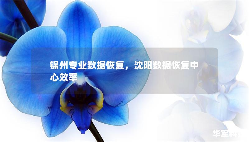 錦州專(zhuān)業(yè)數(shù)據(jù)恢復(fù)，沈陽(yáng)數(shù)據(jù)恢復(fù)中心效率