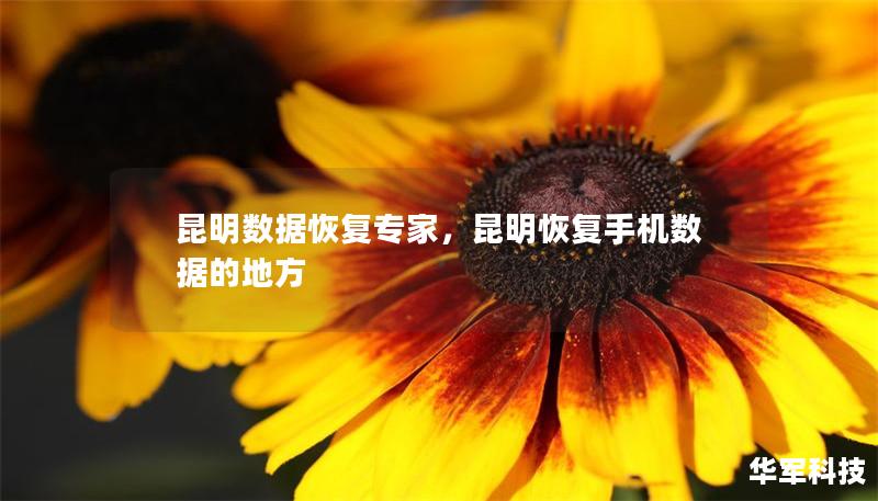 昆明數(shù)據(jù)恢復(fù)專家，昆明恢復(fù)手機數(shù)據(jù)的地方