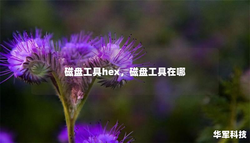 磁盤工具hex，磁盤工具在哪