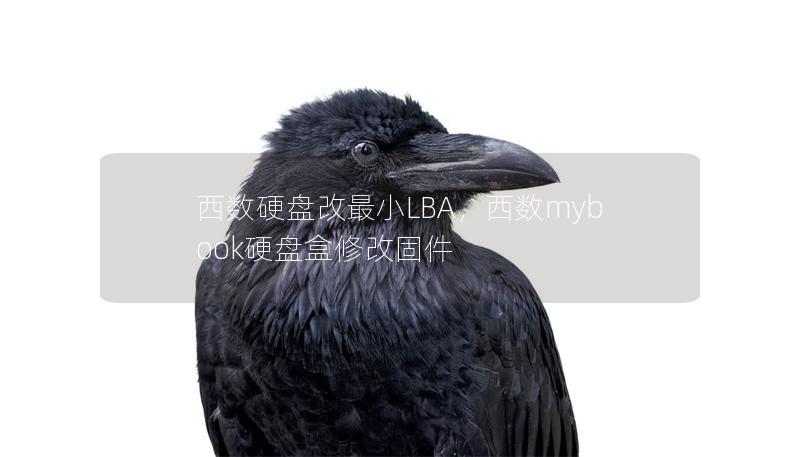 西數硬盤改最小LBA，西數mybook硬盤盒修改固件