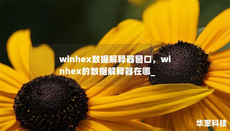 winhex數據解釋器窗口,winhex的數據解釋器在哪_ winhex數據解釋器窗口,winhex的數據解釋器在哪_