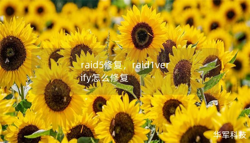 raid5修復，raid1verify怎么修復
