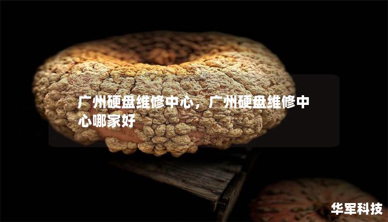 廣州硬盤維修中心，廣州硬盤維修中心哪家好