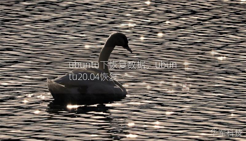 ubuntu下恢復(fù)數(shù)據(jù)，ubuntu20.04恢復(fù)
