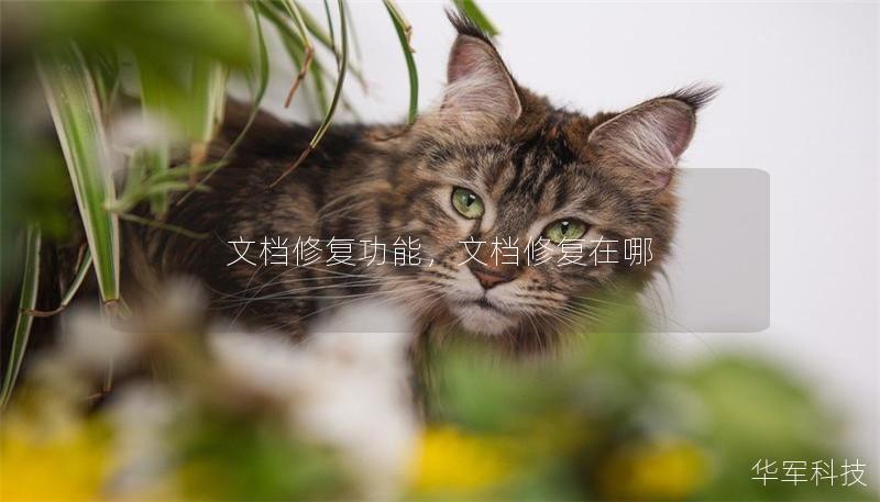 文檔修復(fù)功能,文檔修復(fù)在哪 文檔修復(fù)功能,文檔修復(fù)在哪