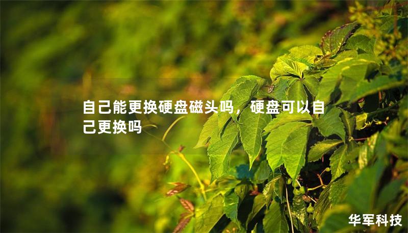 自己能更換硬盤磁頭嗎，硬盤可以自己更換嗎