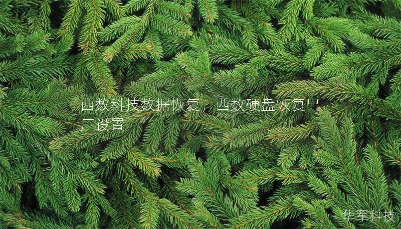 西數科技數據恢復，西數硬盤恢復出廠設置