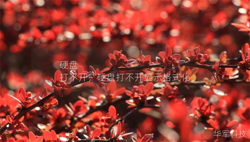 硬盤 打不開，硬盤打不開顯示格式化