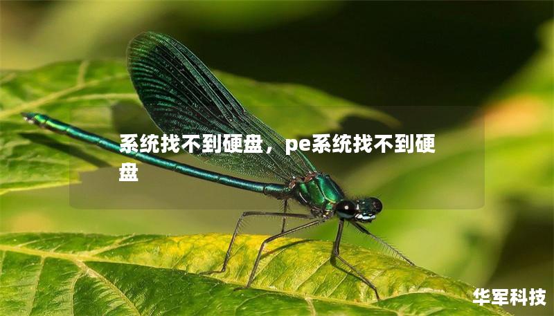 系統找不到硬盤，pe系統找不到硬盤