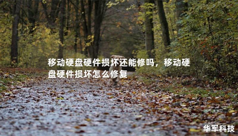移動(dòng)硬盤(pán)硬件損壞還能修嗎，移動(dòng)硬盤(pán)硬件損壞怎么修復(fù)