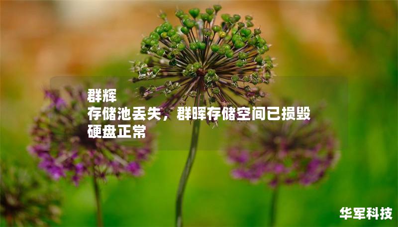 群輝 存儲(chǔ)池丟失,群暉存儲(chǔ)空間已損毀 硬盤(pán)正常 群輝 存儲(chǔ)池丟失,群暉存儲(chǔ)空間已損毀 硬盤(pán)正常