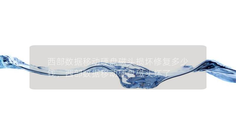 西部數據移動硬盤磁頭損壞修復多少錢，西部數據移動硬盤磁頭壞了