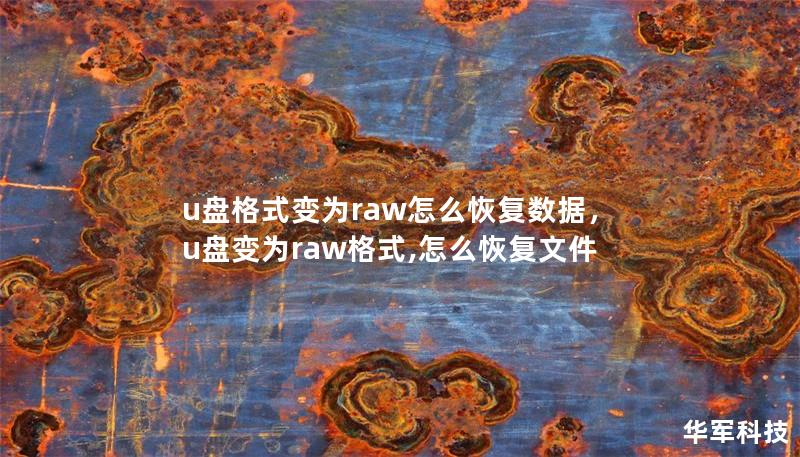 u盤格式變為raw怎么恢復數據，u盤變為raw格式,怎么恢復文件