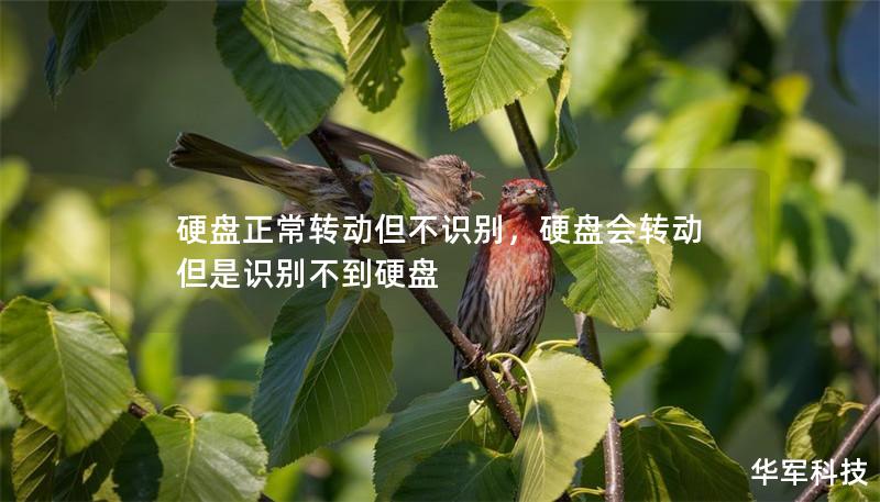 硬盤正常轉動但不識別，硬盤會轉動但是識別不到硬盤