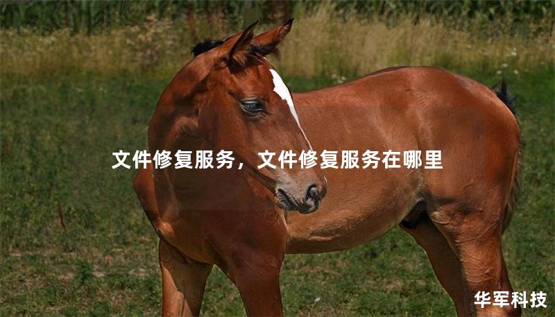 文件修復服務，文件修復服務在哪里