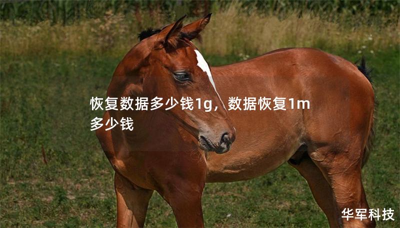 恢復數據多少錢1g，數據恢復1m多少錢