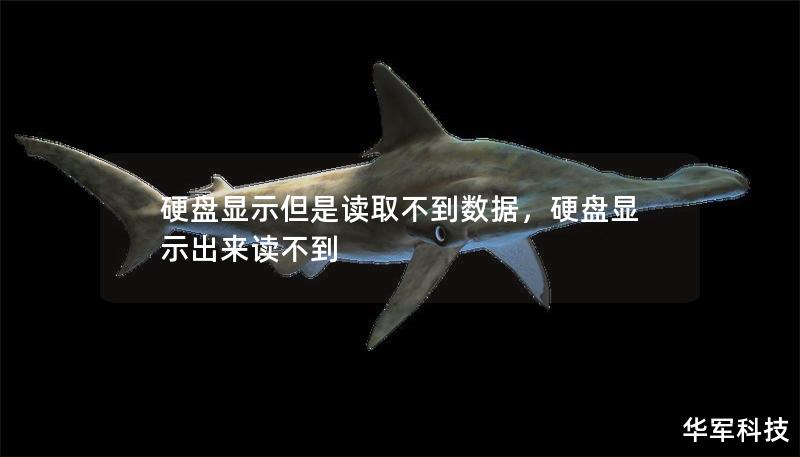 硬盤顯示但是讀取不到數(shù)據(jù)，硬盤顯示出來(lái)讀不到
