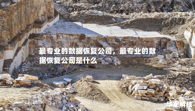 最專業的數據恢復公司,最專業的數據恢復公司是什么 最專業的數據恢復公司,最專業的數據恢復公司是什么