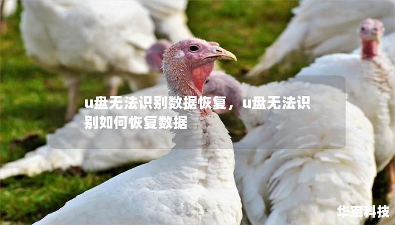 u盤無法識別數據恢復，u盤無法識別如何恢復數據