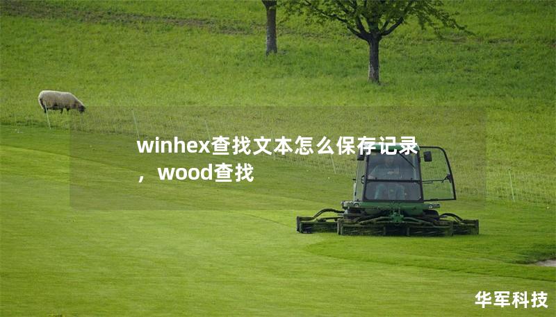 winhex查找文本怎么保存記錄，wood查找
