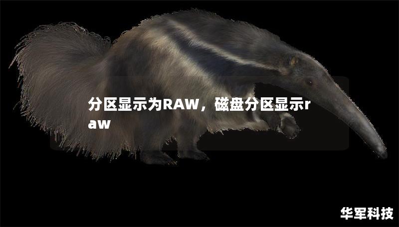 分區顯示為RAW，磁盤分區顯示raw